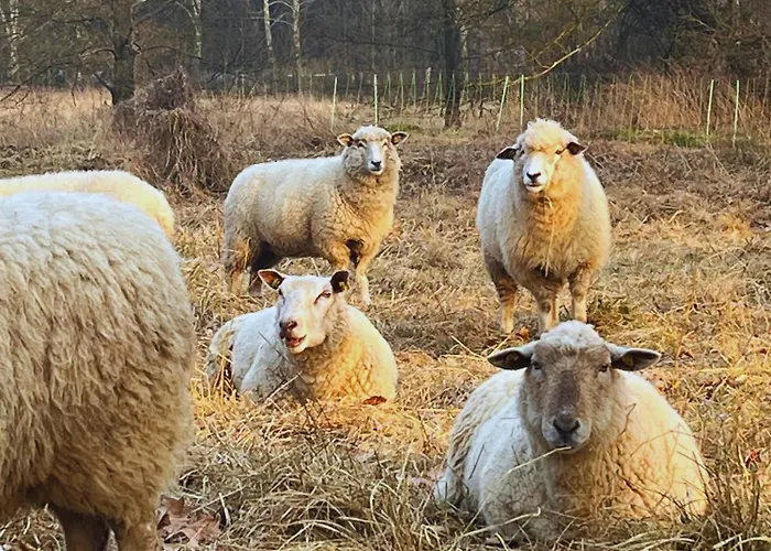 شقة فندقية Haevn Altes Pfarrhaus Marienfliess Stepenitz